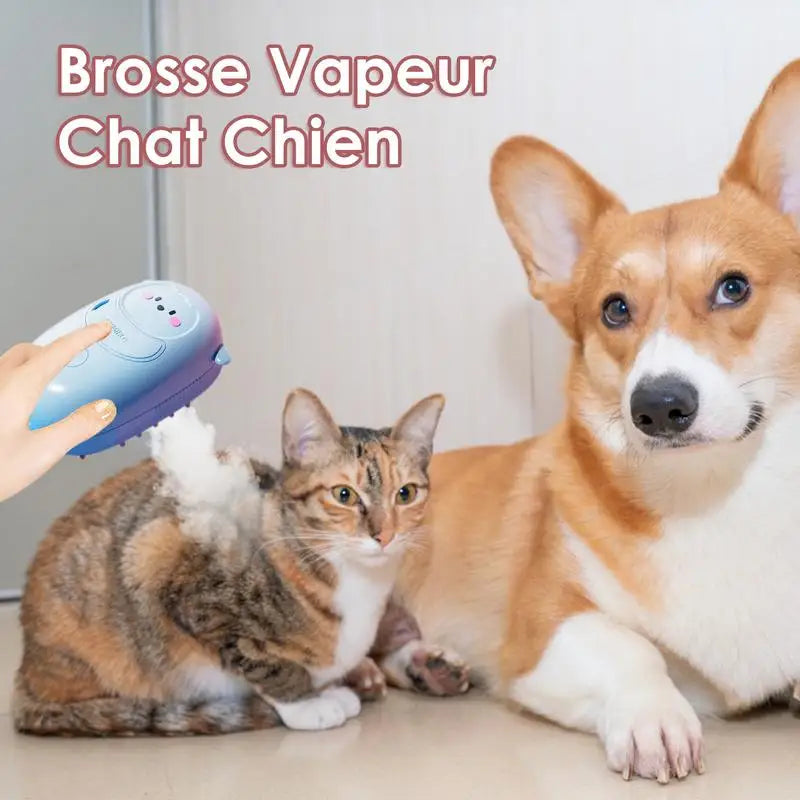 Brosse à shampoing pour chat, révolutionner le bain de votre animal !