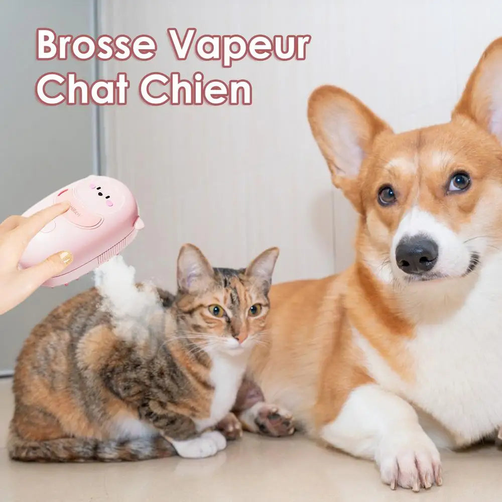 Brosse à shampoing pour chat, révolutionner le bain de votre animal !