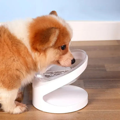 Gamelles ergonomique pour animaux de compagnie, protection du cou, anti-renversement